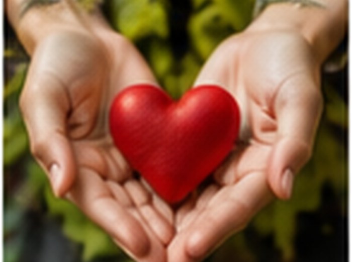 Hands holding a red heart
